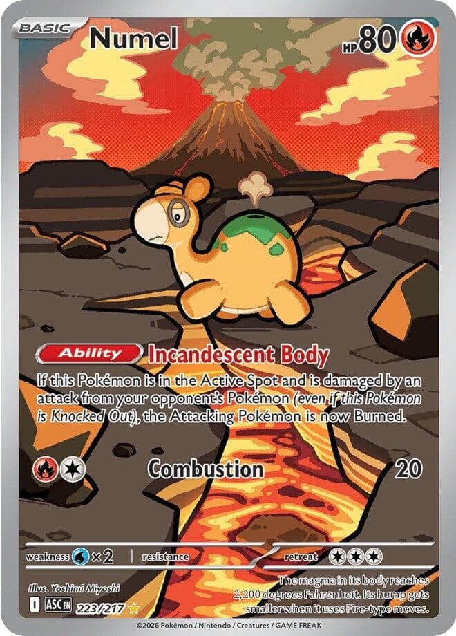 Numel (223/217) (Holofoil) (ME: Ascended Heroes)